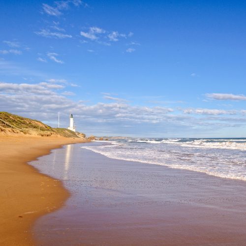 buyers advocate geelong